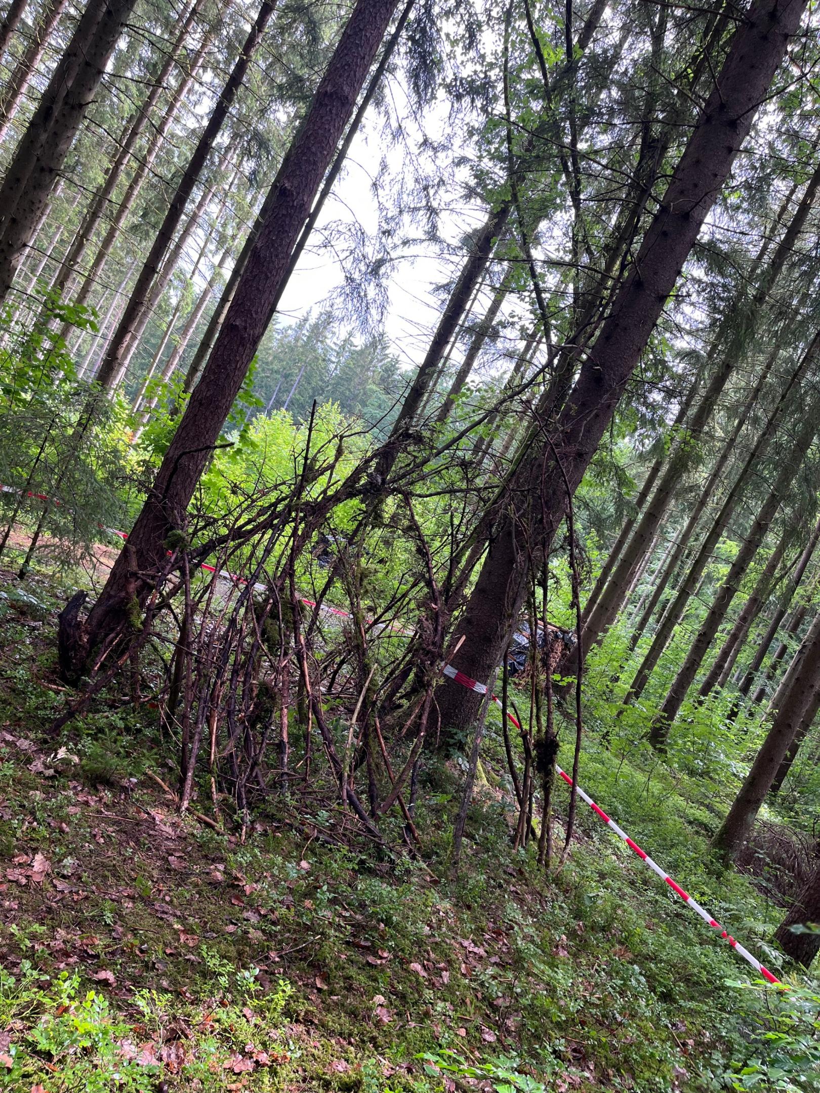 Waldtage (c) privat